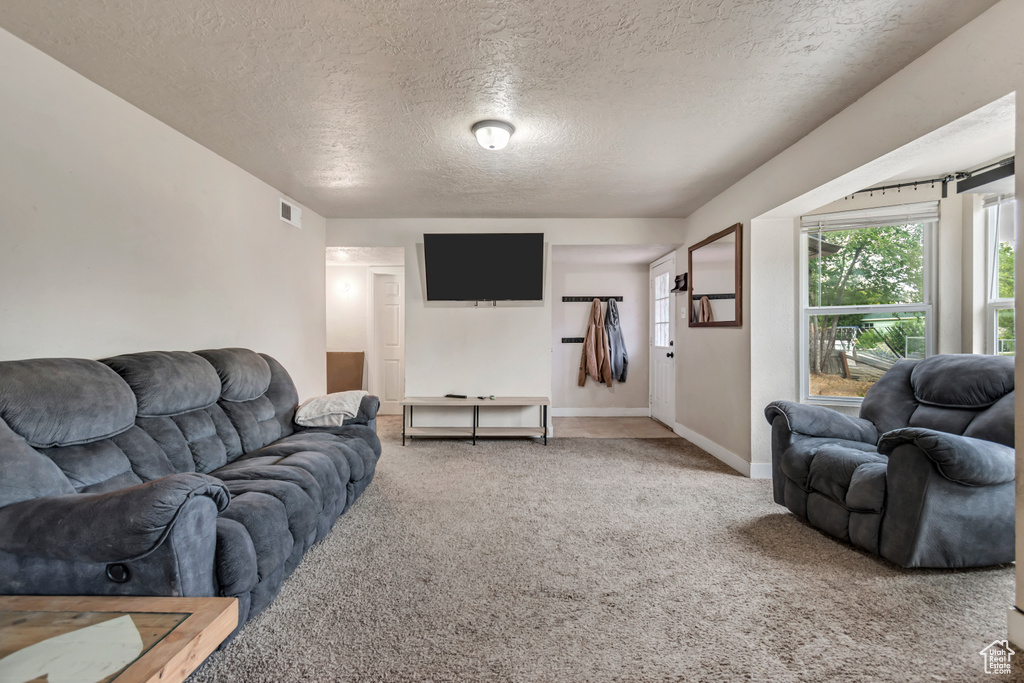 Living area featuring a textured ceiling and carpet floors