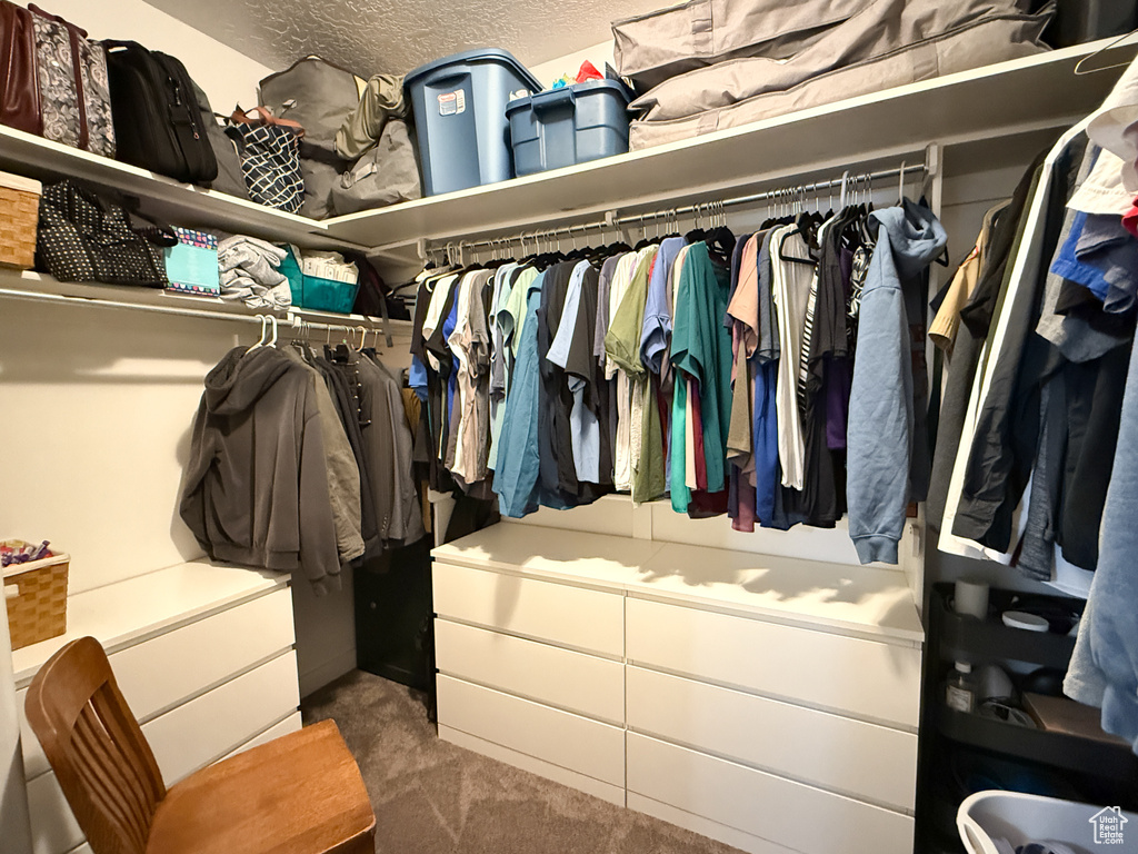 Walk in closet with carpet flooring