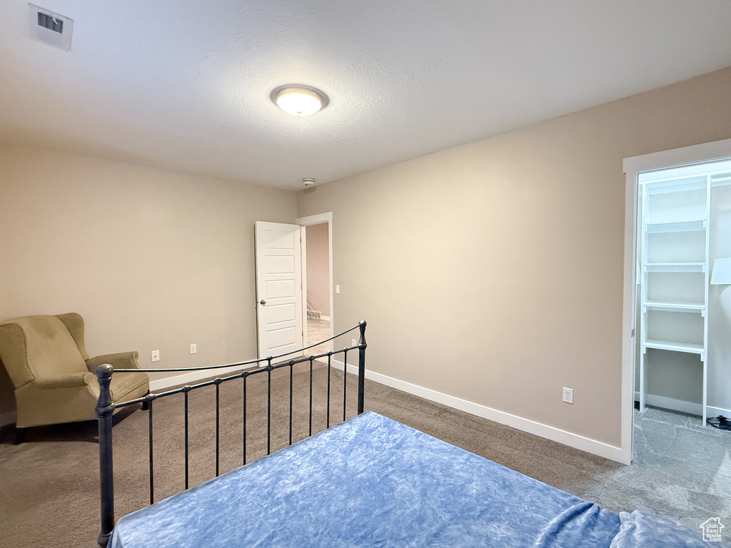 Carpeted bedroom with baseboards and a walk in closet