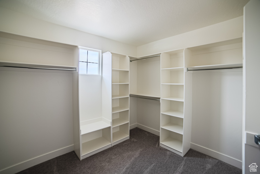 Walk in closet with dark carpet