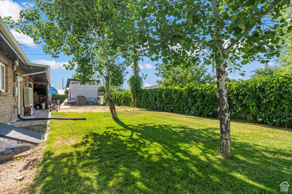 View of grassy yard
