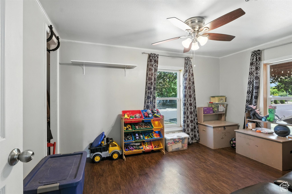 Game room featuring a ceiling fan, wood finished floors, and crown molding