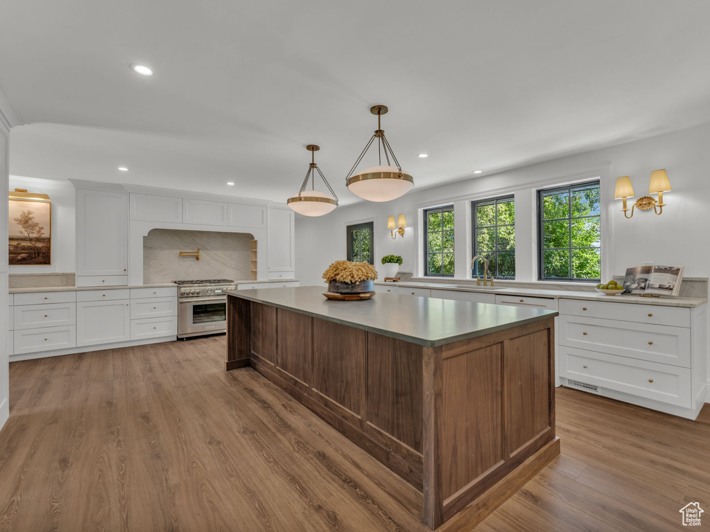 Kitchen with high end stainless steel range oven, healthy amount of natural light, wood finished floors, tasteful backsplash, and recessed lighting