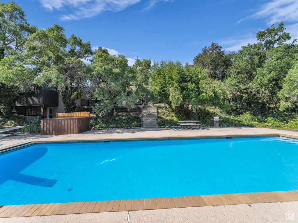 Swimming pool with view of scattered trees