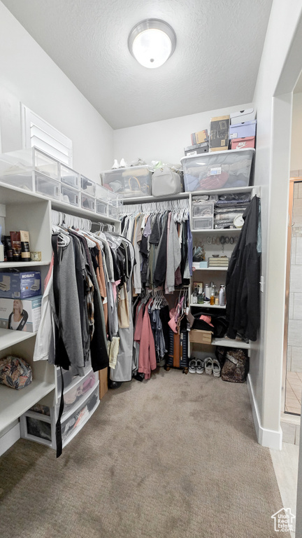 Spacious closet featuring carpet