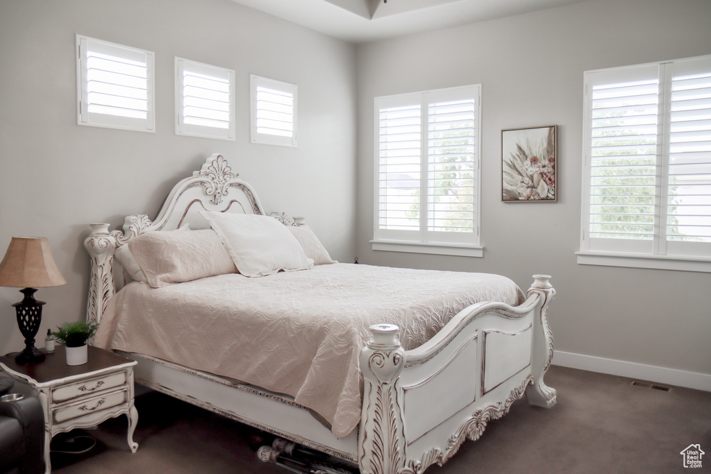 Carpeted bedroom with multiple windows
