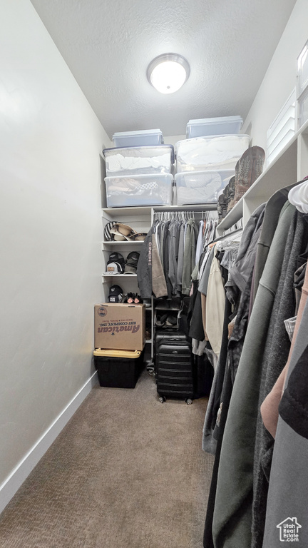 Spacious closet with carpet flooring