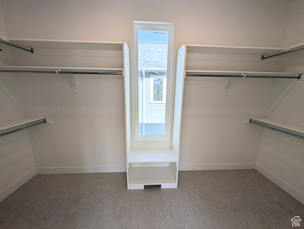 Spacious closet with carpet
