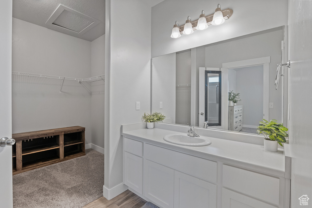 Bathroom featuring vanity, a walk in closet, and wood finished floors