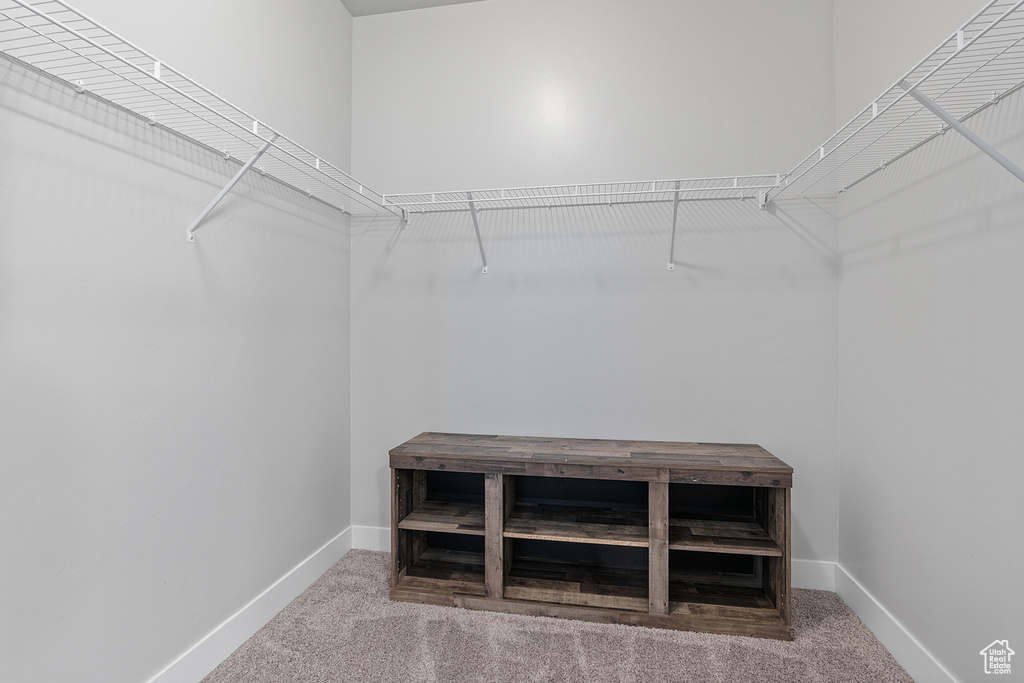 Walk in closet featuring carpet