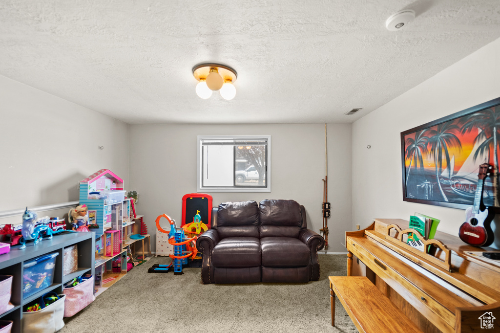 Game room with carpet floors and a textured ceiling