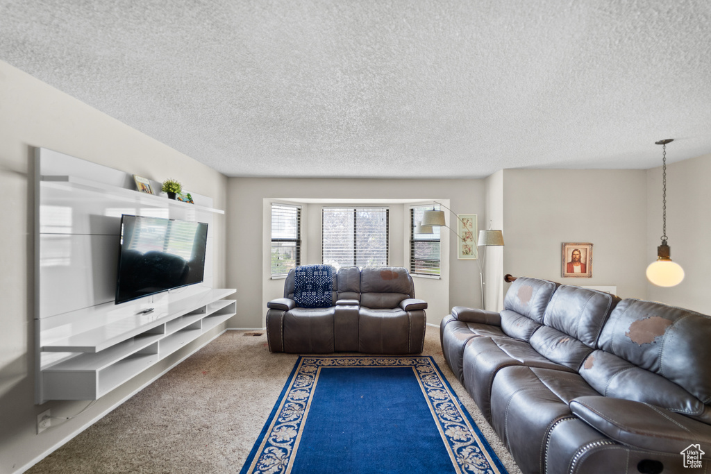 Carpeted living area with a textured ceiling