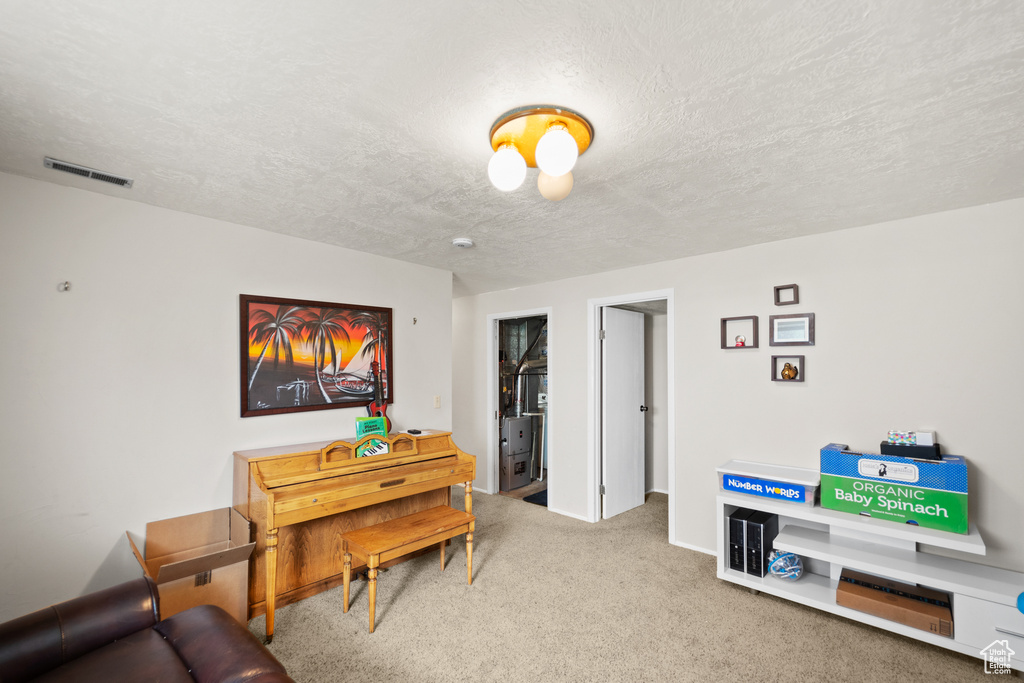Living room featuring carpet flooring and a textured ceiling