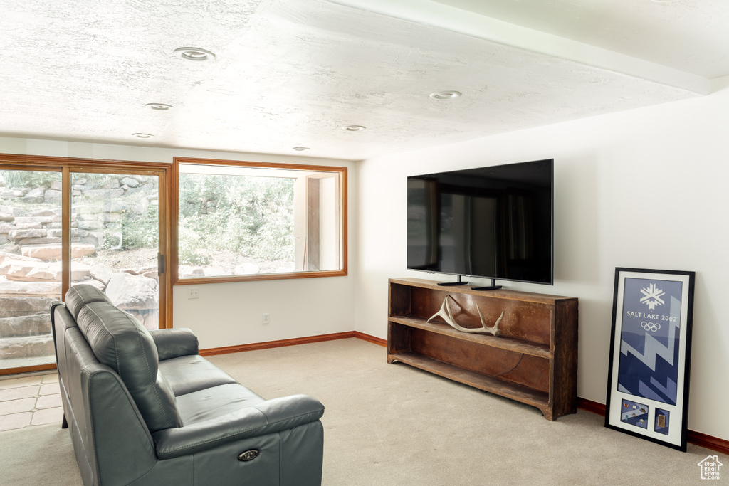 Living area featuring carpet floors and baseboards
