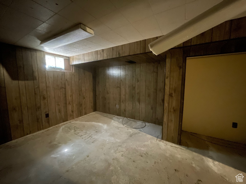 Basement with wood walls