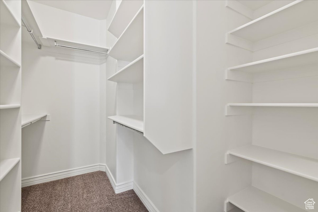 Spacious closet featuring carpet floors