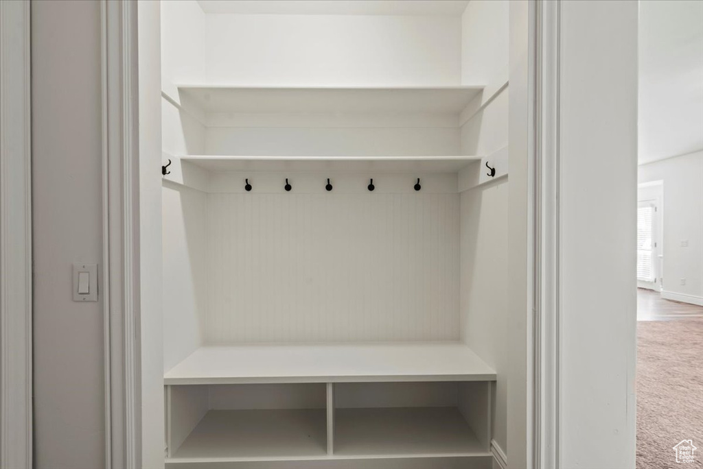 Mudroom with carpet flooring