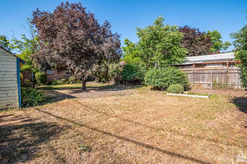 View of yard