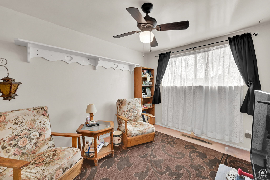 Living area with ceiling fan