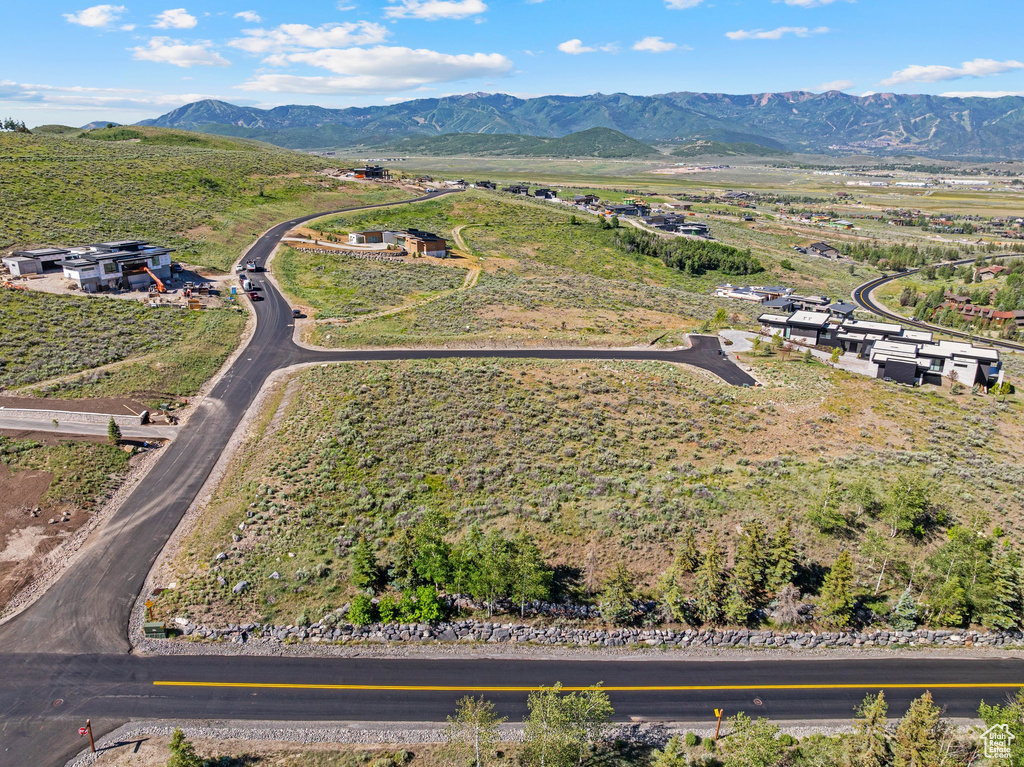 Aerial view of sparsely populated area with a mountain backdrop