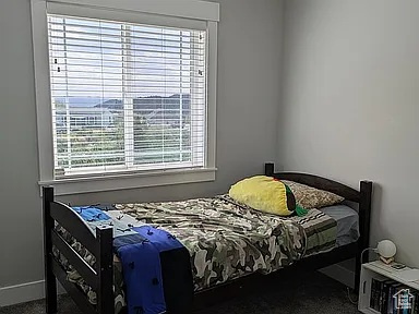 Bedroom with multiple windows and carpet