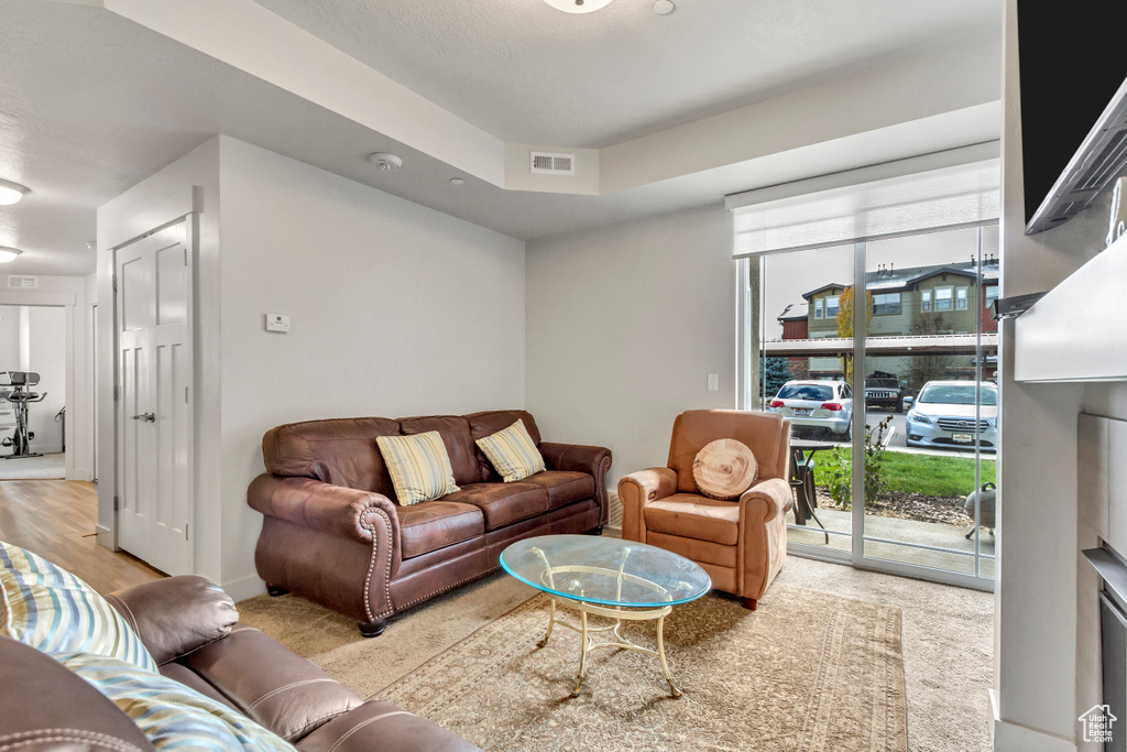 Living room featuring healthy amount of natural light