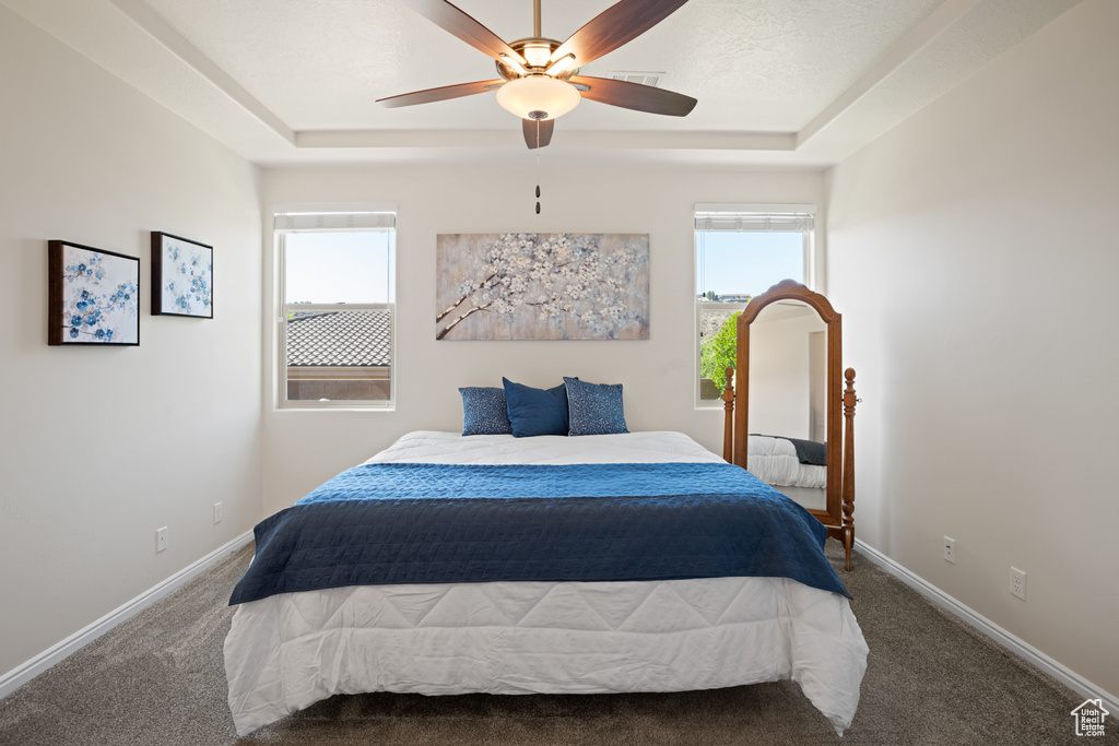 Carpeted bedroom with multiple windows, a raised ceiling, and a ceiling fan