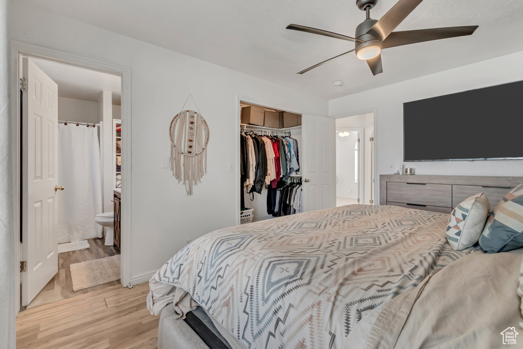 Bedroom featuring light wood finished floors, a closet, connected bathroom, a walk in closet, and a ceiling fan