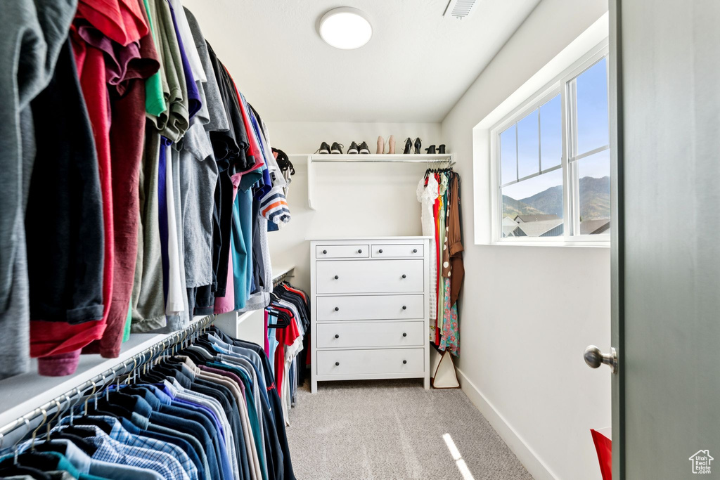Spacious closet with carpet