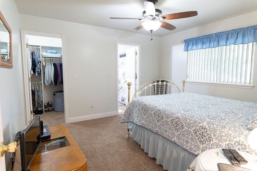 Carpeted bedroom with a spacious closet, a closet, and a ceiling fan