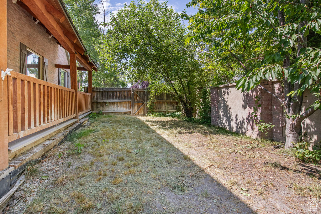 View of yard