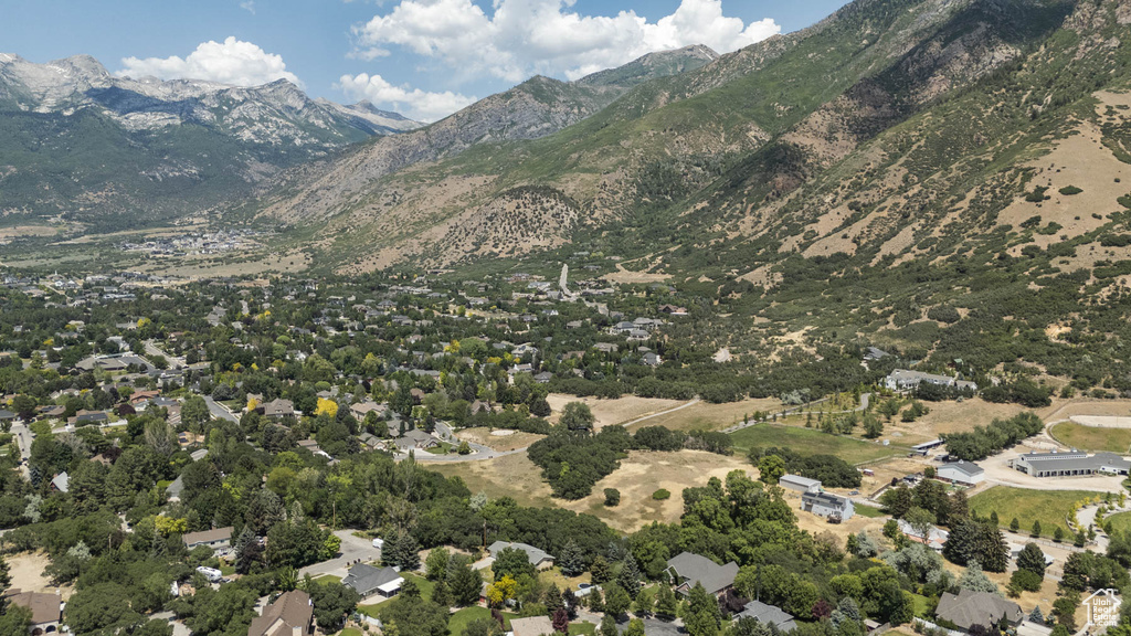 View of mountain background