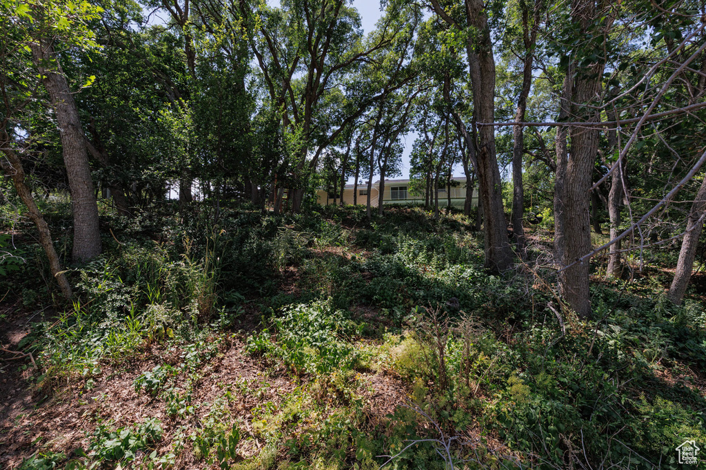 View of nature