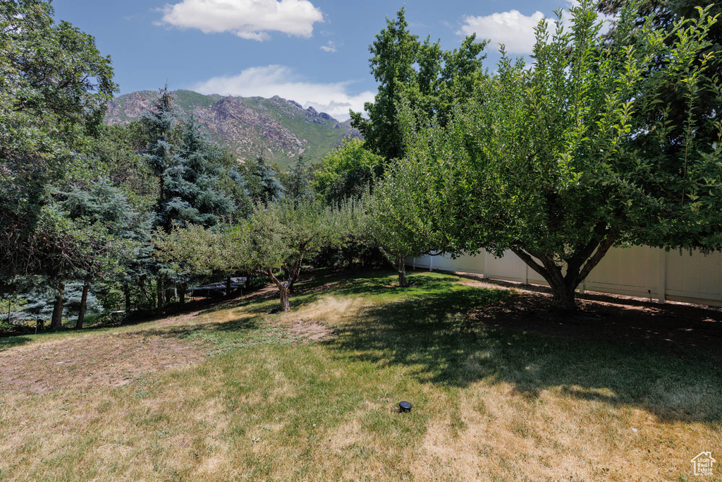 View of yard with a mountain view