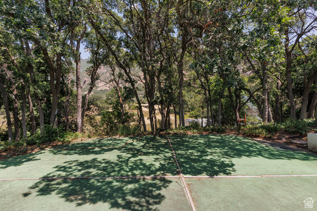 View of sport court