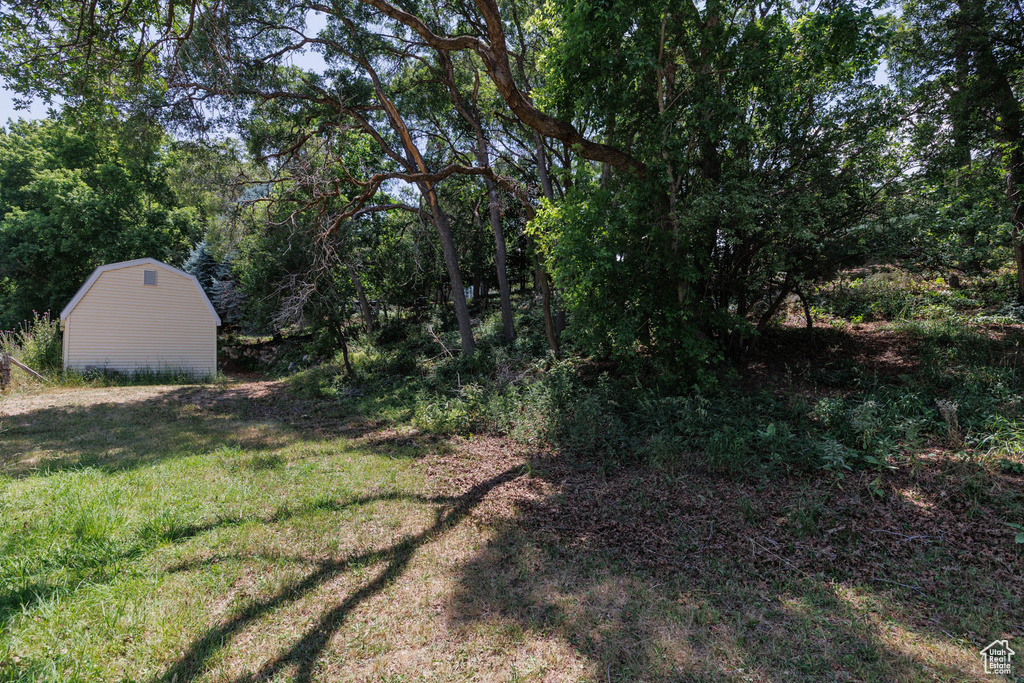View of yard with an outbuilding and a view of trees