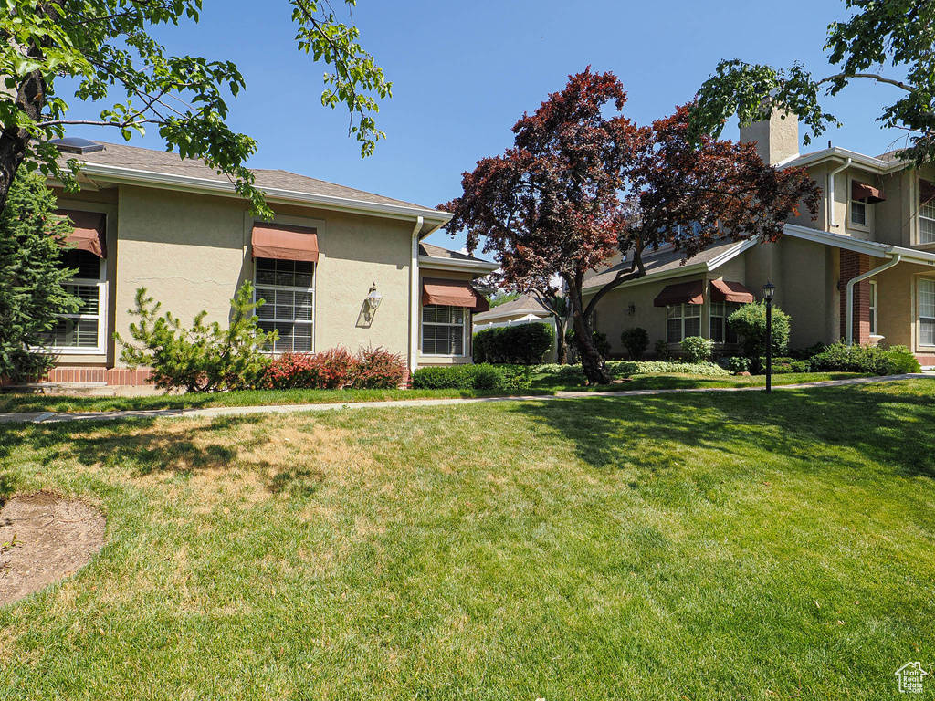 View of grassy yard