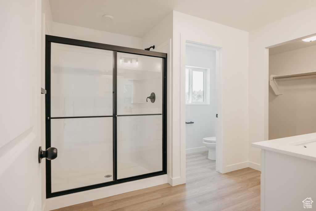 Full bathroom featuring a shower stall, wood finished floors, vanity, and a spacious closet
