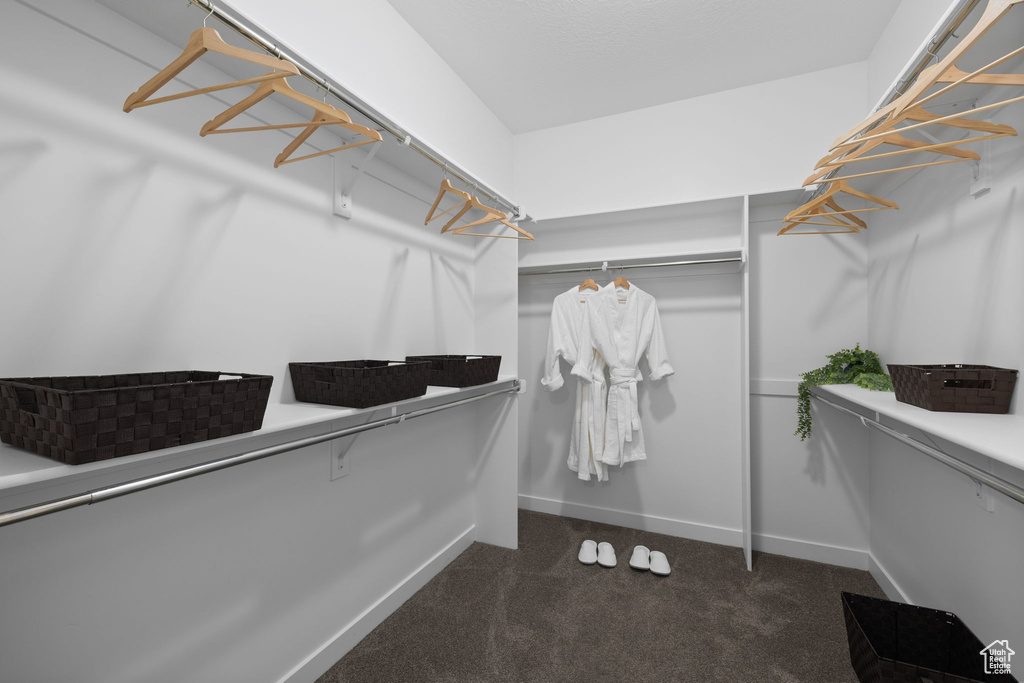 Walk in closet featuring carpet floors