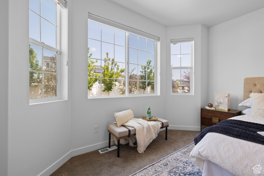Bedroom with carpet and baseboards