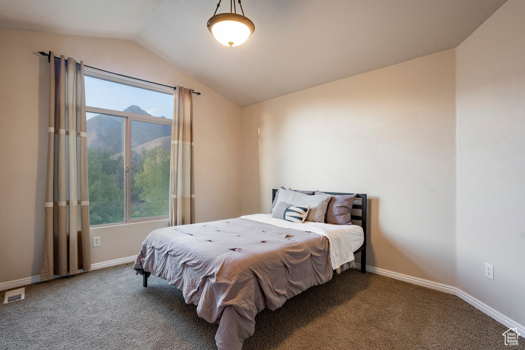 Carpeted bedroom with vaulted ceiling and multiple windows