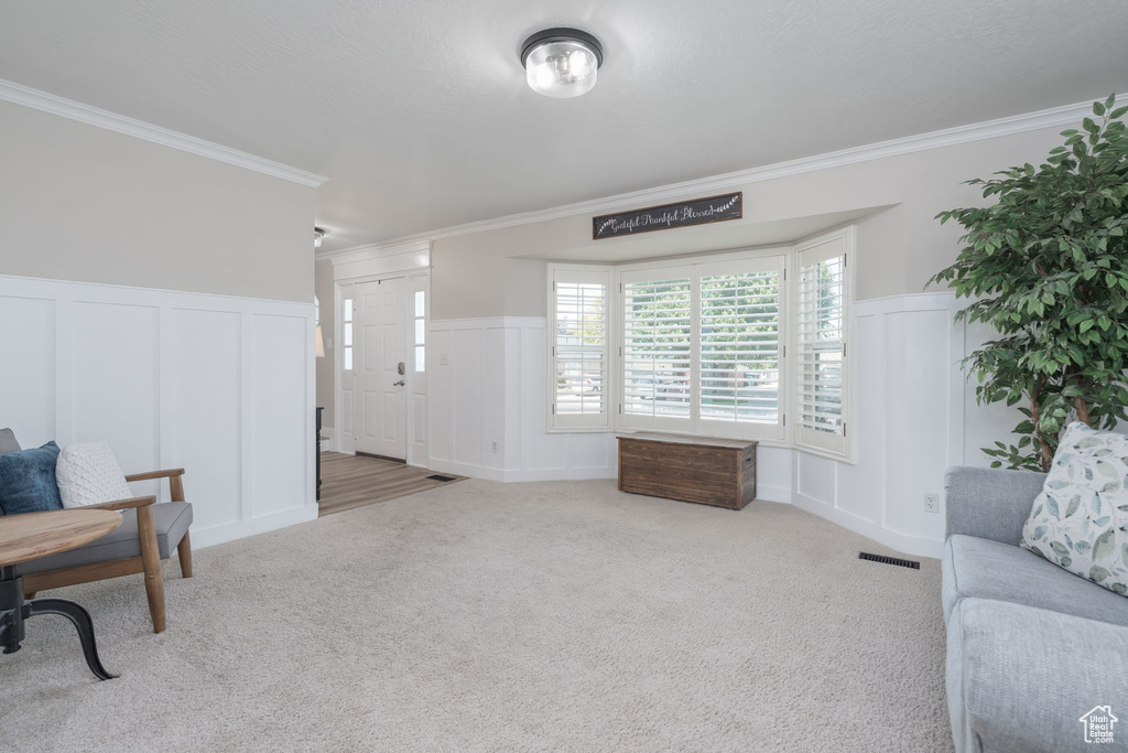 Living area with a decorative wall, crown molding, carpet flooring, and wainscoting
