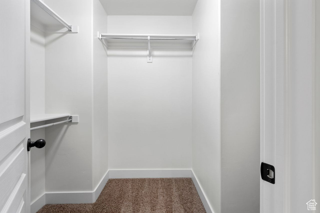 Walk in closet featuring carpet flooring