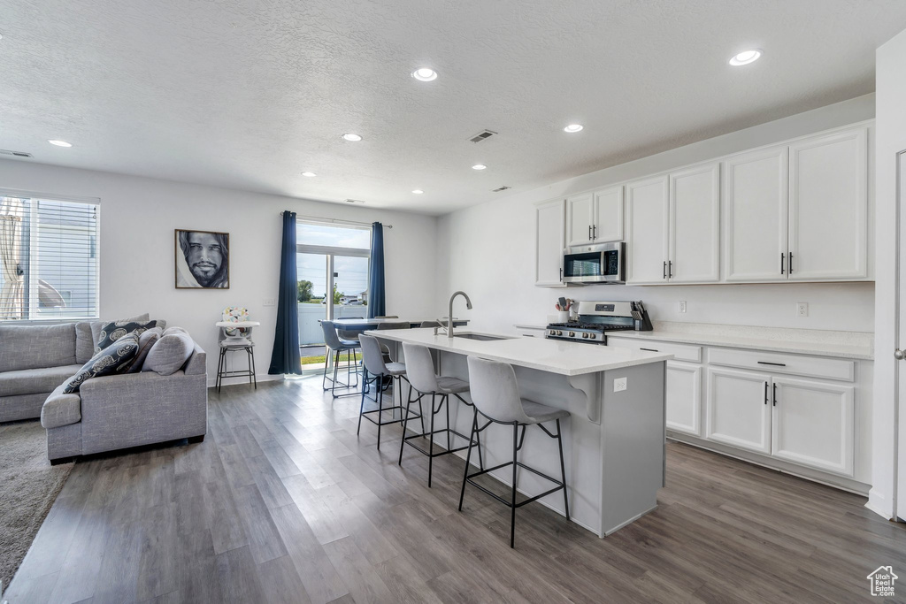 Kitchen with stainless steel appliances, an island with sink, open floor plan, dark wood-type flooring, and recessed lighting