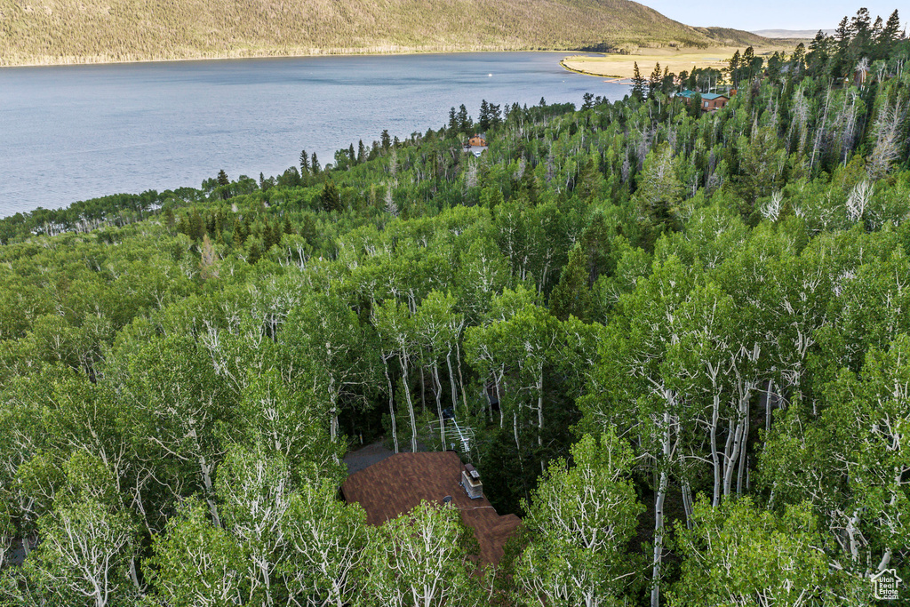 Water view with a mountainous background