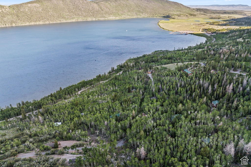 Aerial view of property and surrounding area with a water and mountain view