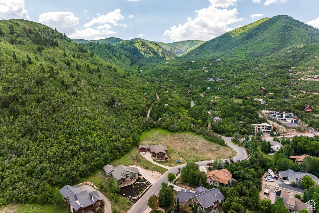 Bird's eye view of mountains