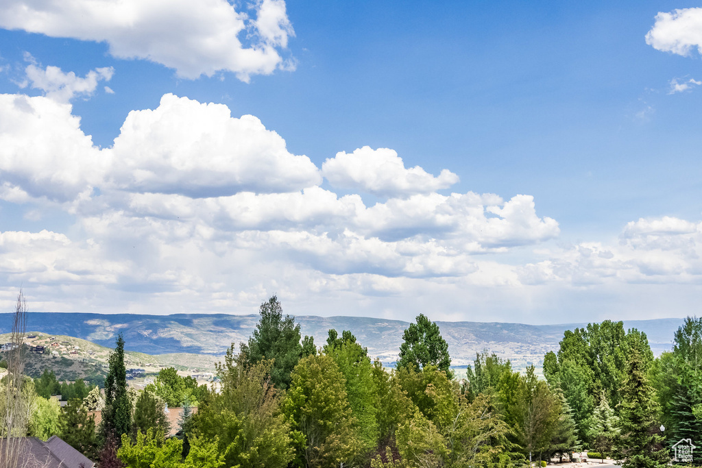 View of mountain background
