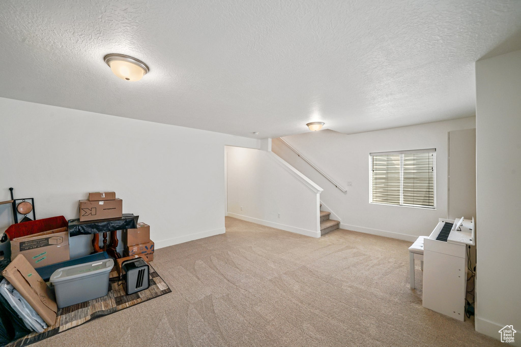 Recreation room with a textured ceiling and carpet