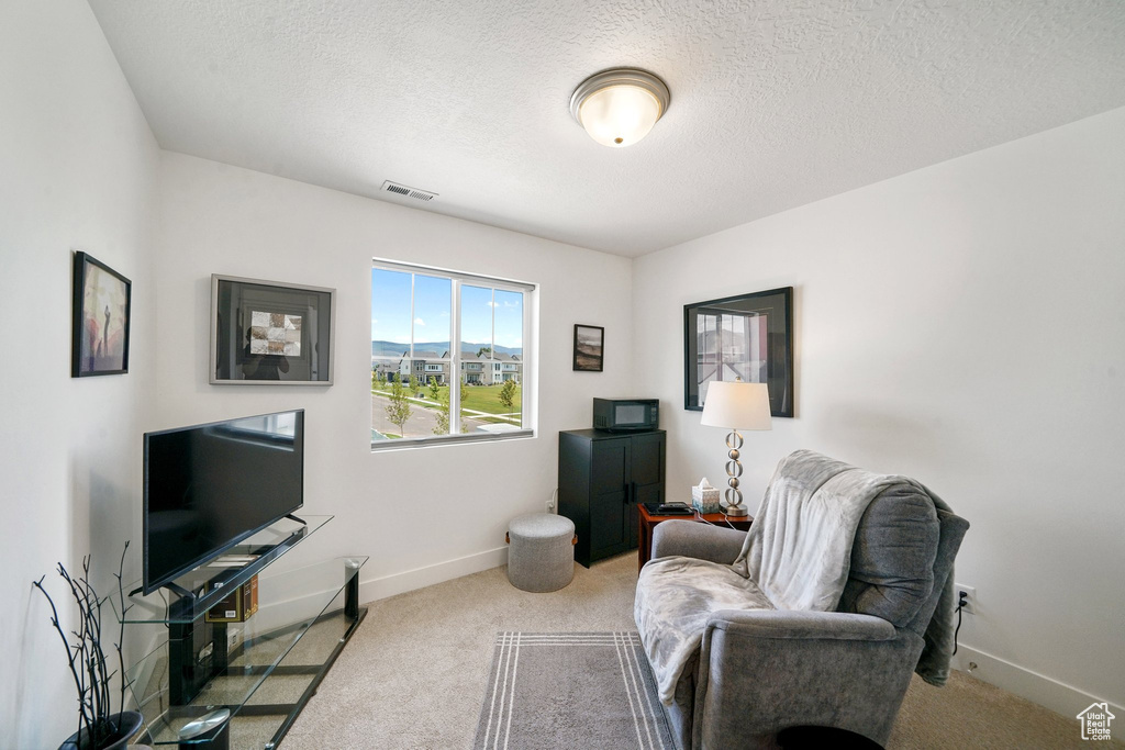 Carpeted living room with baseboards and a textured ceiling